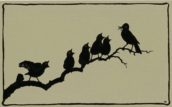 Silhouette of birds singing on branch