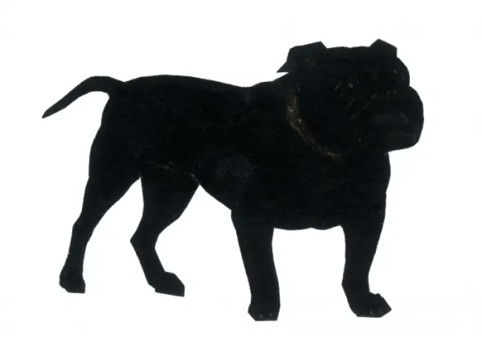 Framed Print : Silhouette of a British bulldog Framed Print : Silhouette of a British bulldog
