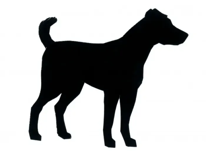 Framed Print : Silhouette of a dog standing still Framed Print : Silhouette of a dog standing still