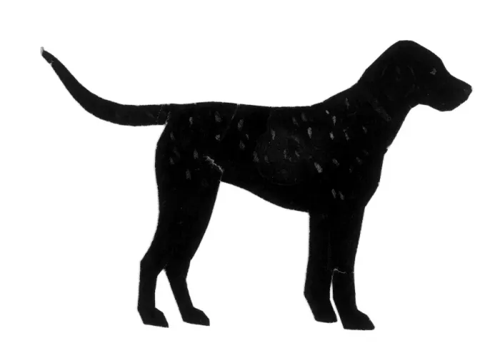 Framed Print : Silhouette of a labrador Framed Print : Silhouette of a labrador