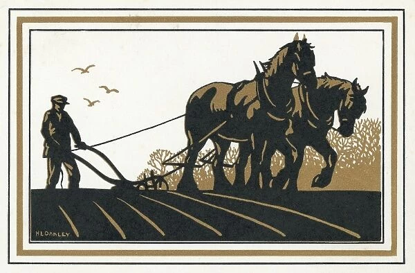 Silhouette of ploughing scene