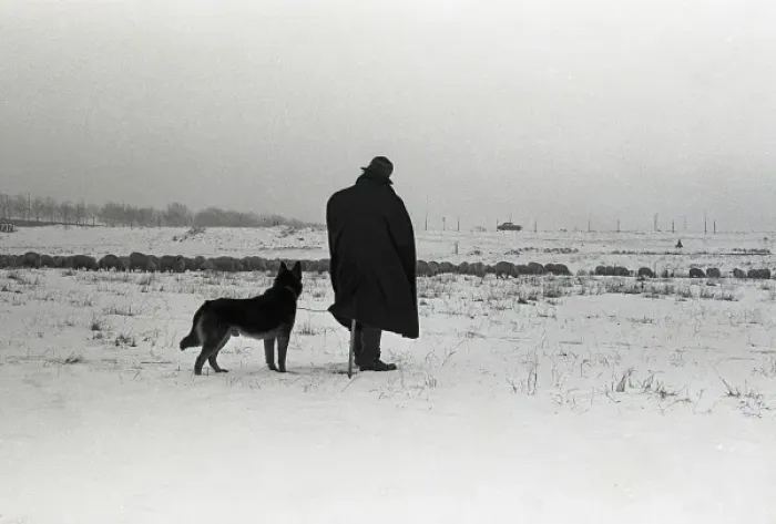 Framed Print : Silhouetted figure of a man and his dog Framed Print : Silhouetted figure of a man and his dog
