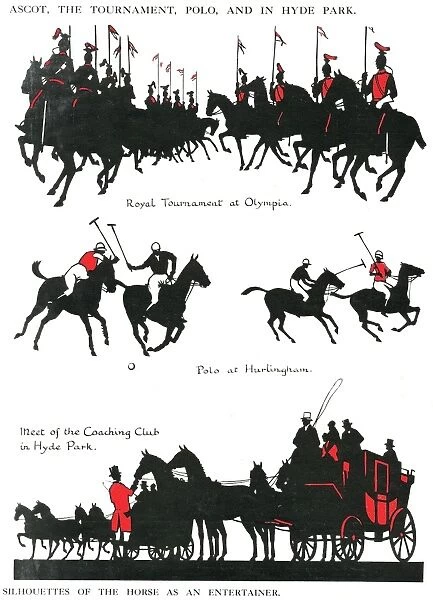 Silhouettes of the horse as an entertainer
