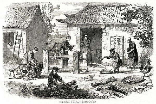Silk culture in China 1857