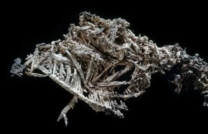 Framed Print : Silver found in pure form in the ground is called native silver (Ag) Framed Print : Silver found in pure form in the ground is called native silver (Ag)