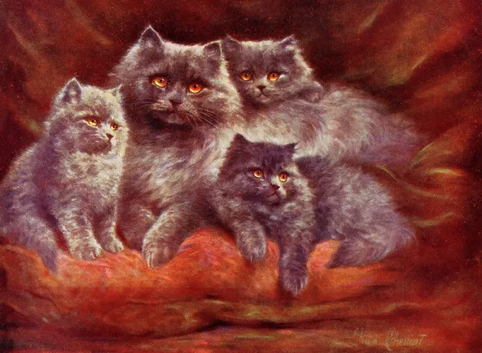 Framed Print : Silver Persian Cats by Lilian Cheviot Framed Print : Silver Persian Cats by Lilian Cheviot