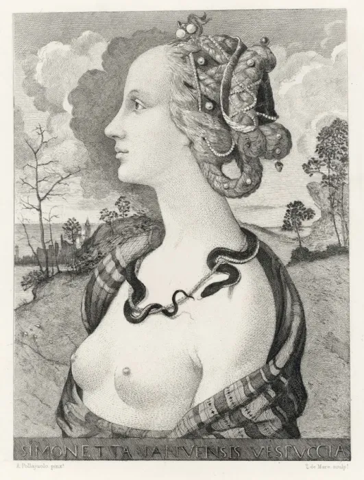 Framed Print : Simonetta Vespucci Framed Print : Simonetta Vespucci