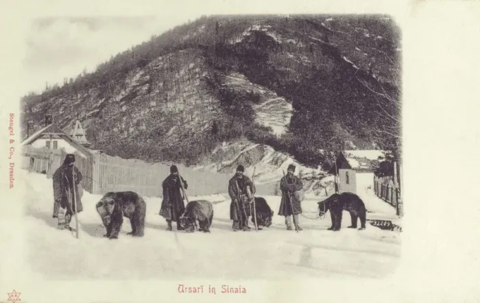Framed Print : Sinaia, Romania - Bears and handlers Framed Print : Sinaia, Romania - Bears and handlers