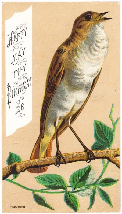Framed Print : Singing bird on a birthday card Framed Print : Singing bird on a birthday card