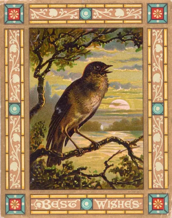 Framed Print : Singing bird on a greetings card Framed Print : Singing bird on a greetings card