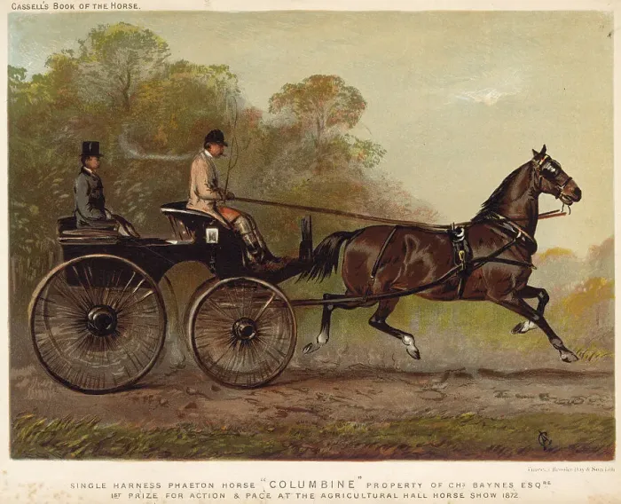 Framed Print : Single-harness phaeton driven by Mr Charles Baynes. Date: 1872 Framed Print : Single-harness phaeton driven by Mr Charles Baynes. Date: 1872