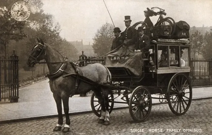 Framed Print : A Single Horse Family Omnibus Framed Print : A Single Horse Family Omnibus