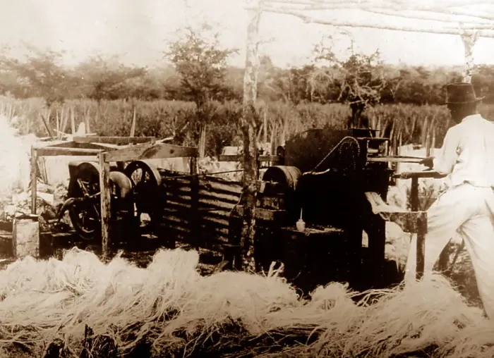 Framed Print : Sisal production, Jamaica Framed Print : Sisal production, Jamaica