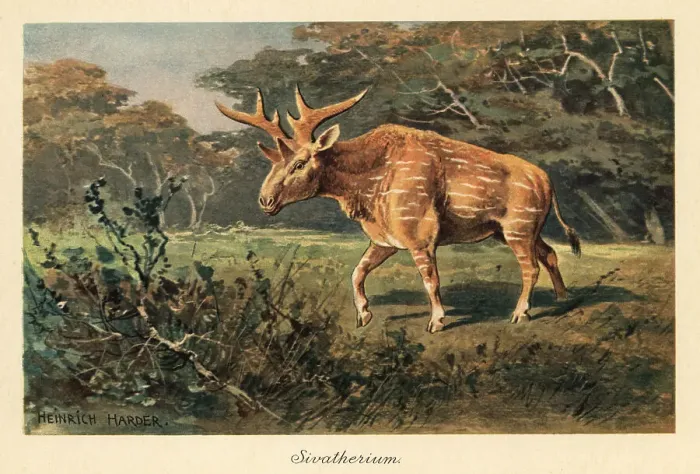 Framed Print : Sivatherium giganteum in a jungle clearing Framed Print : Sivatherium giganteum in a jungle clearing