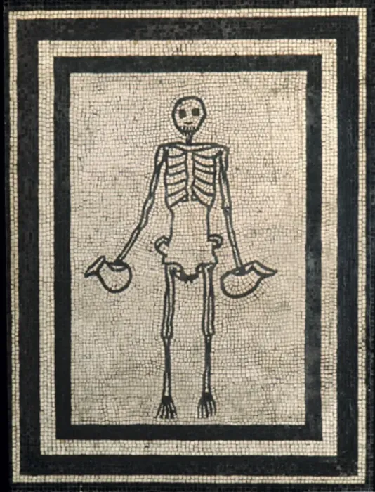 Framed Print : Skeleton Mosaic Framed Print : Skeleton Mosaic