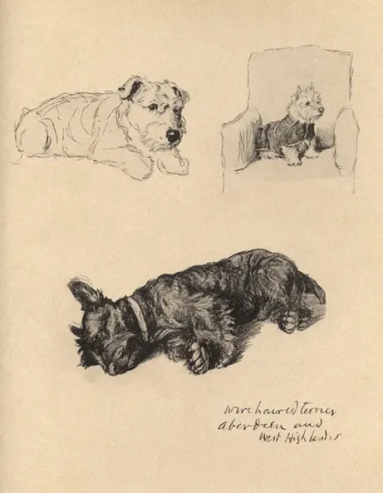 Framed Print : Sketches by Cecil Aldin, Just Among Friends Framed Print : Sketches by Cecil Aldin, Just Among Friends