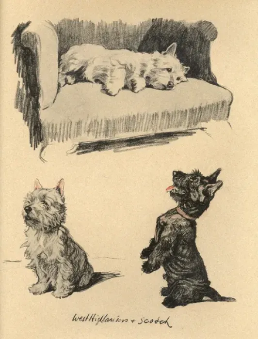 Framed Print : Sketches by Cecil Aldin, Just Among Friends Framed Print : Sketches by Cecil Aldin, Just Among Friends