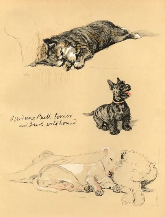 Framed Print : Sketches by Cecil Aldin, Just Among Friends Framed Print : Sketches by Cecil Aldin, Just Among Friends