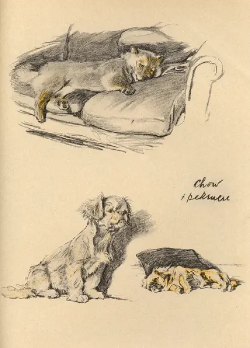 Framed Print : Sketches by Cecil Aldin, Just Among Friends Framed Print : Sketches by Cecil Aldin, Just Among Friends