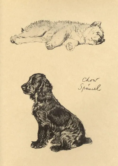 Framed Print : Sketches by Cecil Aldin, Just Among Friends Framed Print : Sketches by Cecil Aldin, Just Among Friends