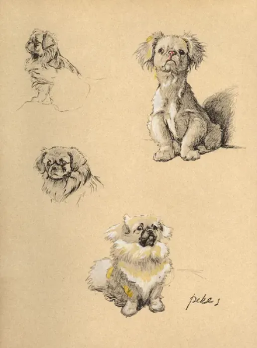 Framed Print : Sketches by Cecil Aldin, Just Among Friends Framed Print : Sketches by Cecil Aldin, Just Among Friends