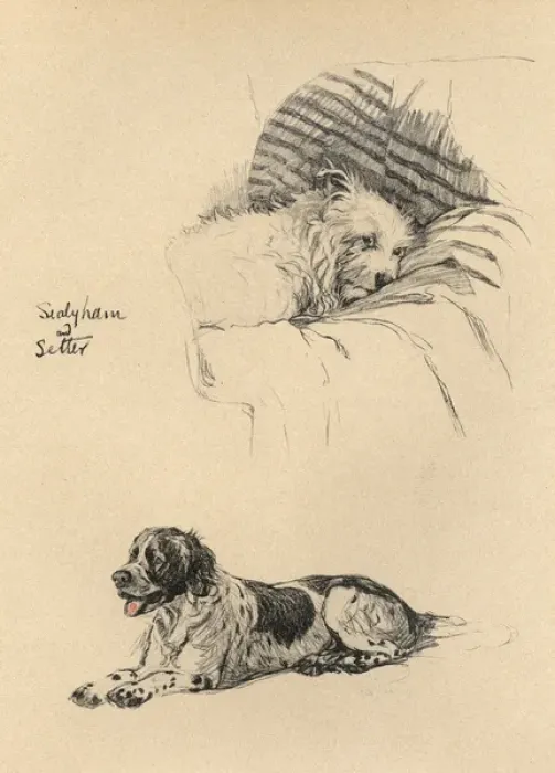 Framed Print : Sketches by Cecil Aldin, Just Among Friends Framed Print : Sketches by Cecil Aldin, Just Among Friends