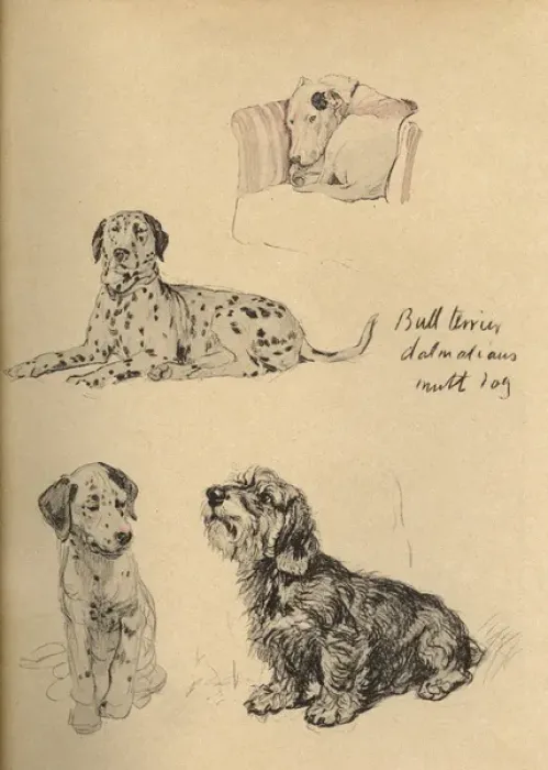 Framed Print : Sketches by Cecil Aldin, Just Among Friends Framed Print : Sketches by Cecil Aldin, Just Among Friends