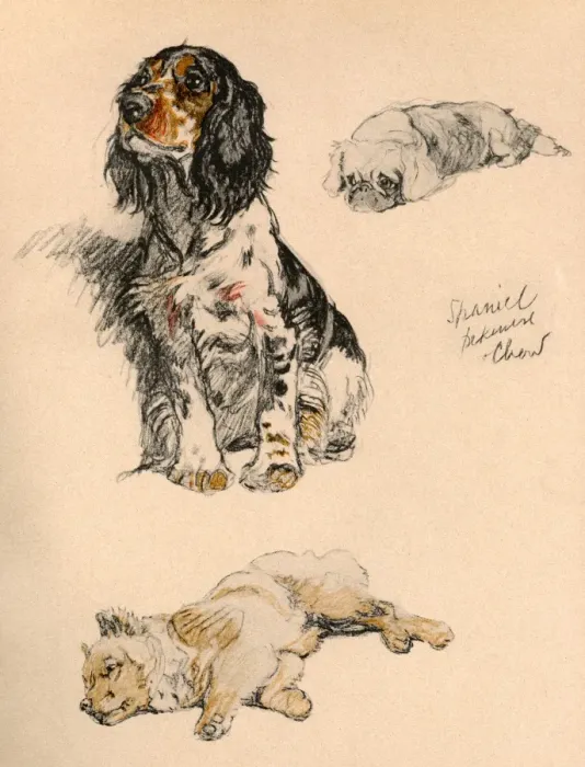 Framed Print : Sketches by Cecil Aldin, Just Among Friends Framed Print : Sketches by Cecil Aldin, Just Among Friends