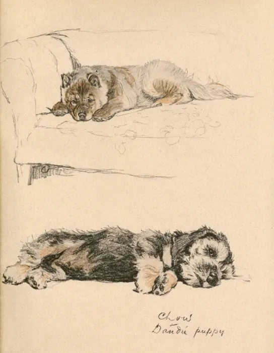 Framed Print : Sketches by Cecil Aldin, Just Among Friends Framed Print : Sketches by Cecil Aldin, Just Among Friends