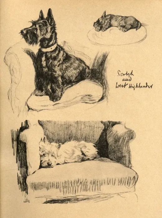 Framed Print : Sketches by Cecil Aldin, Just Among Friends Framed Print : Sketches by Cecil Aldin, Just Among Friends