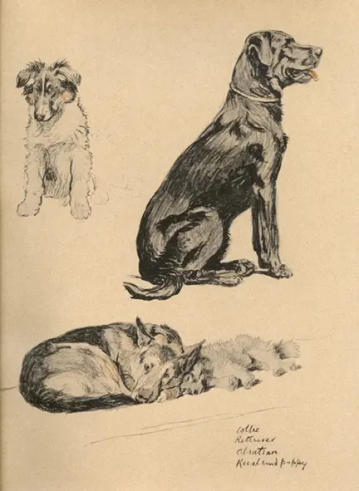 Framed Print : Sketches by Cecil Aldin, Just Among Friends Framed Print : Sketches by Cecil Aldin, Just Among Friends