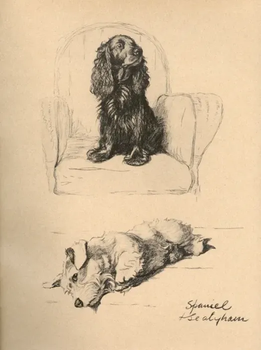Framed Print : Sketches by Cecil Aldin, Just Among Friends Framed Print : Sketches by Cecil Aldin, Just Among Friends