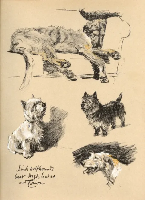 Framed Print : Sketches by Cecil Aldin, Just Among Friends Framed Print : Sketches by Cecil Aldin, Just Among Friends