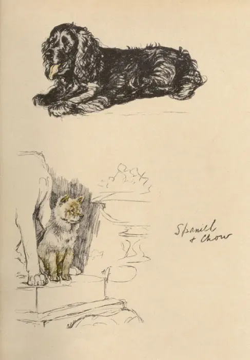 Framed Print : Sketches by Cecil Aldin, Just Among Friends Framed Print : Sketches by Cecil Aldin, Just Among Friends