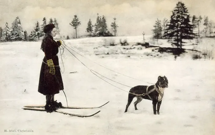 Framed Print : Ski Girl Towed by Dog Framed Print : Ski Girl Towed by Dog