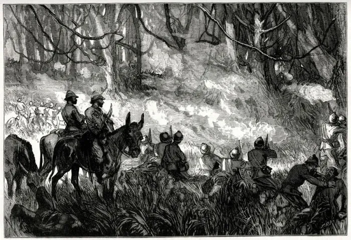 Framed Print : A Skirmish in the Forest, Third Anglo-Ashanti War or First Ashanti Expedition (1873-1874 Framed Print : A Skirmish in the Forest, Third Anglo-Ashanti War or First Ashanti Expedition (1873-1874