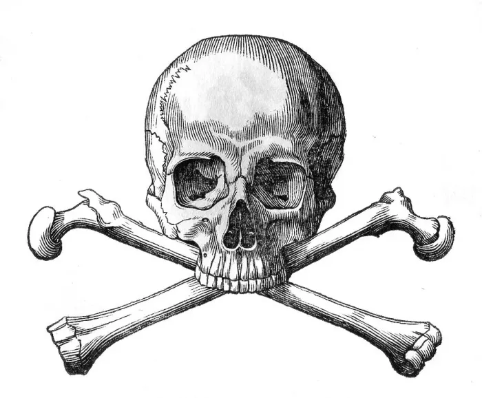 Framed Print : SKULL AND CROSSBONES Framed Print : SKULL AND CROSSBONES