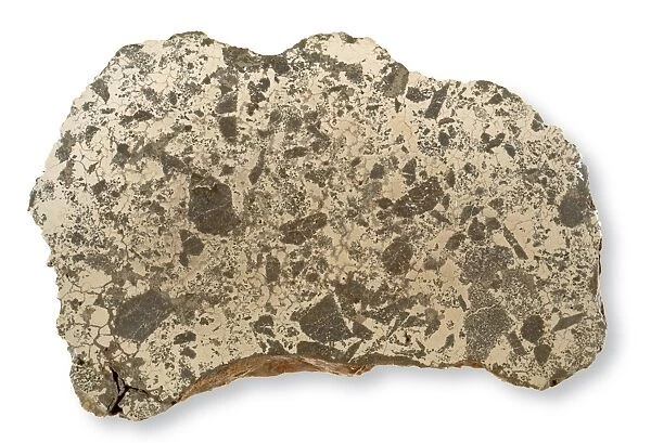Slab of the Lueders meteorite