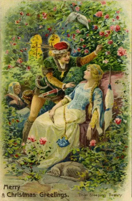 Framed Print : The Sleeping Beauty Framed Print : The Sleeping Beauty