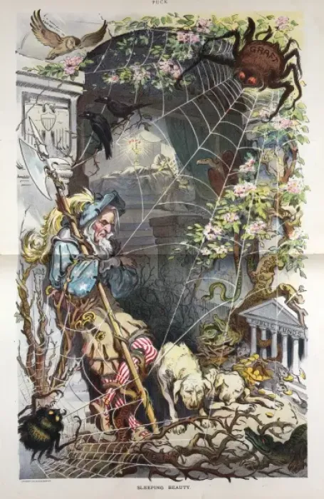 Framed Print : Sleeping beauty Framed Print : Sleeping beauty