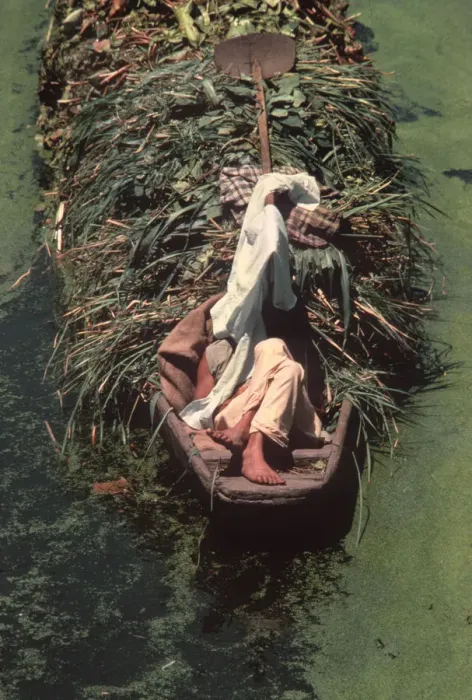 Framed Print : Sleeping Kashmir boatman Framed Print : Sleeping Kashmir boatman
