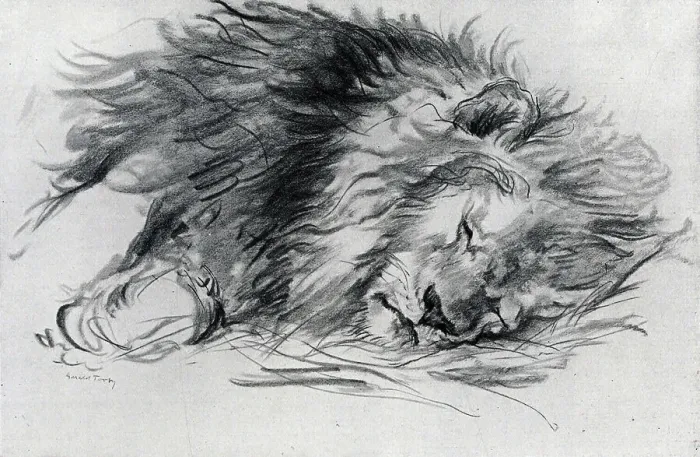 Framed Print : Sleeping Lion