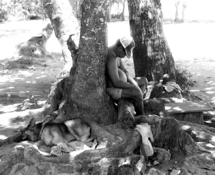 Framed Print : Sleeping man with dog, La Digue, Seychelles Framed Print : Sleeping man with dog, La Digue, Seychelles