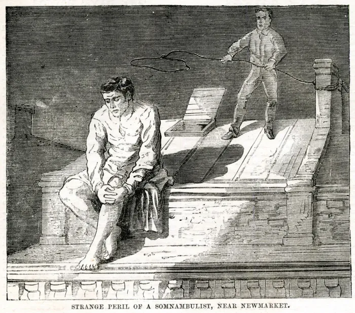 Framed Print : SLEEPWALKER ON ROOF 1870 Framed Print : SLEEPWALKER ON ROOF 1870