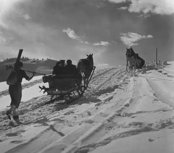 Framed Print : Sleigh Rides Framed Print : Sleigh Rides