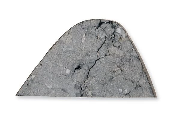 Slice of the lunar meteorite Northwest Africa 482