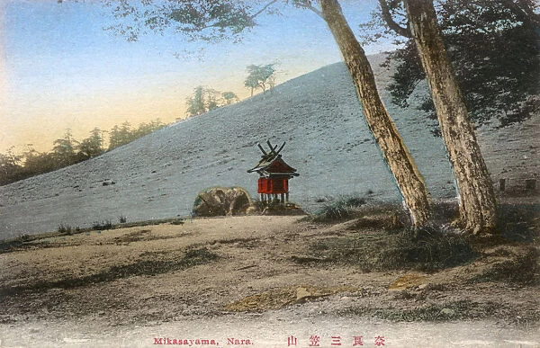 Slopes of Mount Wakakusa, Nara, Japan