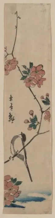 Framed Print : Small bird on a branch of Kaidozakura Framed Print : Small bird on a branch of Kaidozakura