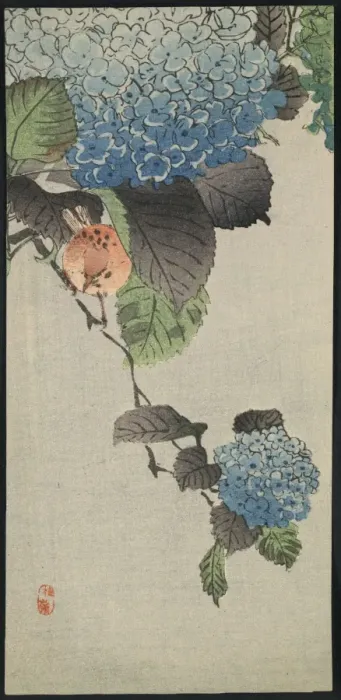 Framed Print : Small bird and hydrangea Framed Print : Small bird and hydrangea