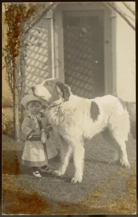 Framed Print : Small Girl, Big Dog Framed Print : Small Girl, Big Dog